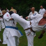 Martial arts bij 3.0 #3: Taekwondo