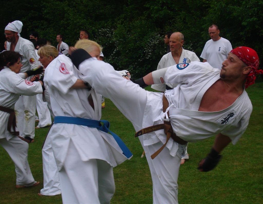 Martial arts bij 3.0 #3: Taekwondo